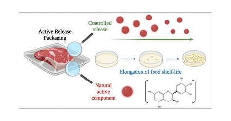 Biodegradable Active Packaging with Controlled Release: Principles ...