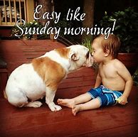 Image result for Sunday Dog Memes