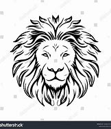 Image result for Lion Water Face