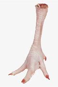 Image result for Chicken Feet Clip Art