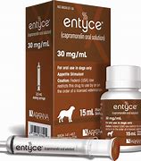 Image result for Cat Appetite Stimulant