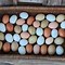 Image result for Easter Egger Chicken Eggs