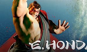 Image result for E.Honda SFV