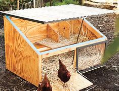 Image result for Chicken Co-op Roof Ideas