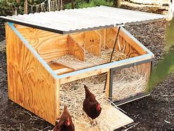 Image result for Chicken Coop