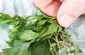 Image result for Duong Tay Bouquet Garni