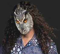 Image result for Weird Owl