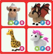 Image result for NFR Bat Dragon