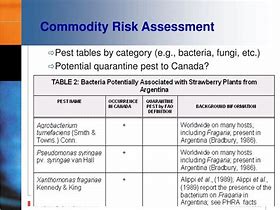 Image result for Pest Control Risk Assessment Template