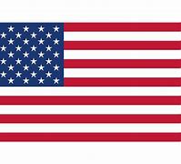 Image result for USA Flag Free