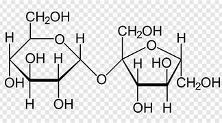 Image result for sucrose structure