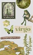 Image result for Zodiac Signs Virgo Aesthetic