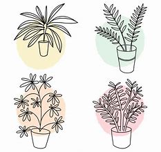 Image result for Plant Drawing