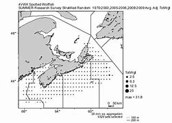 Image result for Wolfish in Nova Scotia