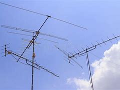 Image result for Shrimp Antennae