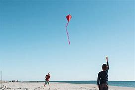 Image result for Beach Kite Flying