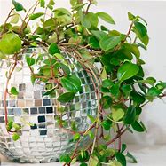 Image result for Disco Ball Planter