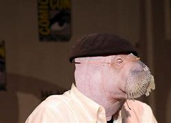 Image result for Albino Baby Walrus