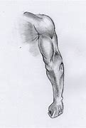 Image result for Hand and Arm Drawing