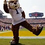 Image result for SEC Football Mascots