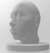 Image result for Head Size 3D Print