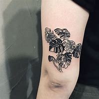 Image result for Planta Monstera Tatuaje