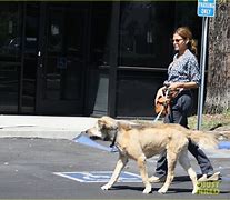 Image result for Ryan Gosling Dog George