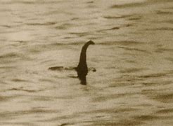 Image result for Loch Ness Monster Fossil