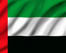 Image result for NASA and UAE Flag Image