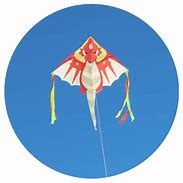 Image result for Dragon Kite Launch