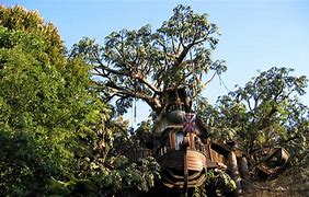 Image result for Swiss Family Robinson Treehouse Disney