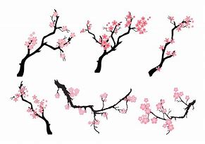 Image result for Branch Vector