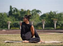 Image result for Ardha Matsyendrasana