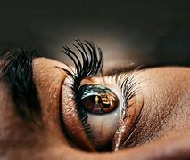 Image result for Macro Eye Photography