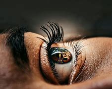 Image result for Macro Eye Photography Blou