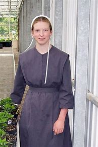 Image result for Amish Blue Dress