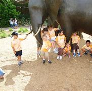 Image result for Zoo Field Trip