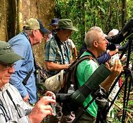 Image result for Costa Rica What to Visit