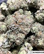 Image result for BC Kush Strain