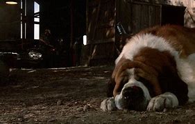 Image result for Cujo Dog Cartoon