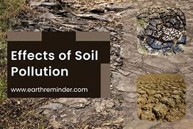 Image result for Soil Pollution