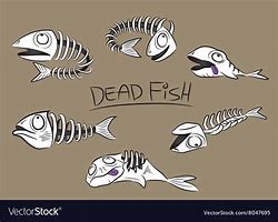 Image result for Bones of Dead Fish