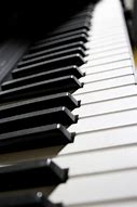 Image result for Electronic Piano Keyboard