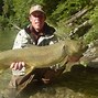 Image result for Trout Fly Patterns Fishing