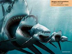 Image result for Megalodon Shark