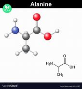 Image result for Alanine Chemical Structure