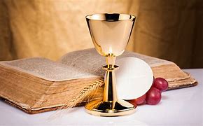 Image result for Eucharistic Minister