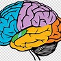 Image result for Brain Symbol Clip Art