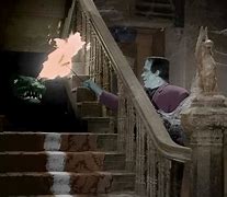 Image result for Munsters Pet Spot