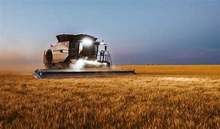 Image result for Wheat Harvest